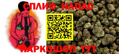 гашик Бузулук